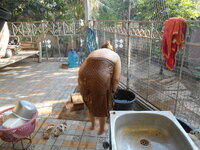 DSCN9915.JPG