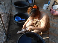 DSCN9914.JPG