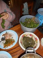 DSCN0905~2.JPG