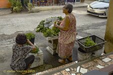 phoca_thumb_l_110-Mamashop-2025-0321-03.jpg