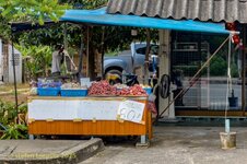 phoca_thumb_l_128-Insel-2025-0317-01.jpg