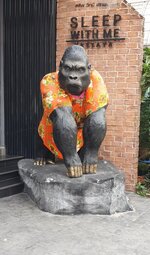 Songkran Gorilla (1).jpg