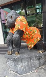 Songkran Gorilla (2).jpg