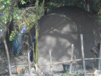 DSCN1039.JPG