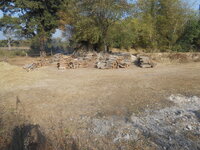 DSCN1037.JPG