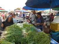 DSCN0983.JPG