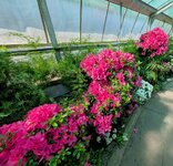 PXL_20250407_102704403~2.jpg