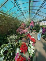 PXL_20250407_102825394.jpg