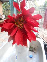 DSCN0602~2.JPG