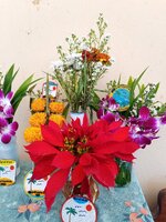 IMG_20250129_112122_198.jpg