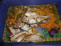 DSCN1043.JPG