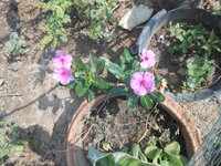 DSCN1615.JPG