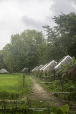 Sukjai Land-2.jpg