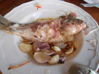DSCN1364.JPG