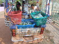 DSCN1539.JPG