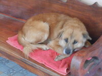 DSCN1630.JPG