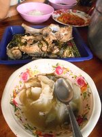 DSCN1468~2.JPG
