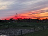PXL_20250419_185844691.jpg