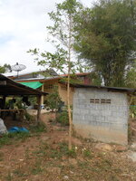 DSCN0110.JPG