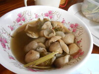 DSCN9849.JPG