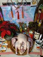 IMG_20241224_174224_804.jpg