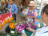 DSCN0014.JPG