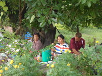 DSCN0431.JPG