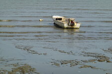 DSC04373.JPG