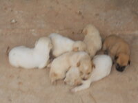 DSCN0473.JPG