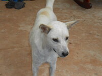 DSCN0479.JPG