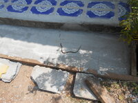 DSCN0469.JPG