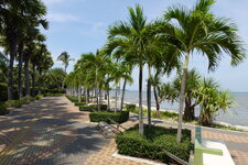 DSC04434.JPG