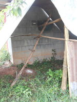 DSCN0522.JPG