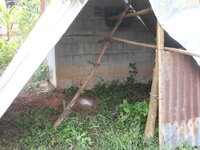 DSCN0523.JPG