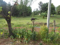 DSCN0525.JPG