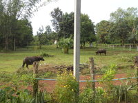 DSCN0527.JPG