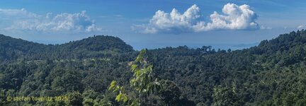phoca_thumb_l_117-Farm-Viet2025-0422-13.jpg