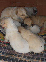 DSCN0510.JPG