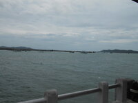 DSCN0378.JPG
