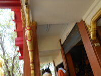 DSCN0195.JPG