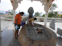 DSCN0179.JPG