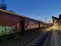 20250429_052930.jpg