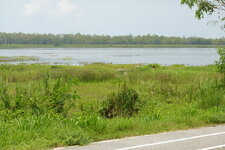 DSC04488.JPG