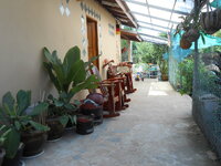 DSCN0781.JPG