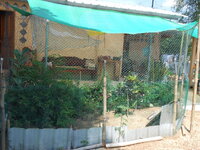 DSCN0778.JPG