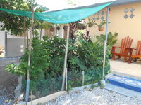 DSCN0779.JPG