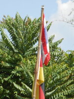 DSCN0770.JPG