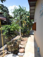 DSCN0791.JPG