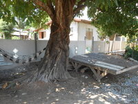 DSCN0767.JPG