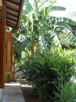 DSCN0792.JPG